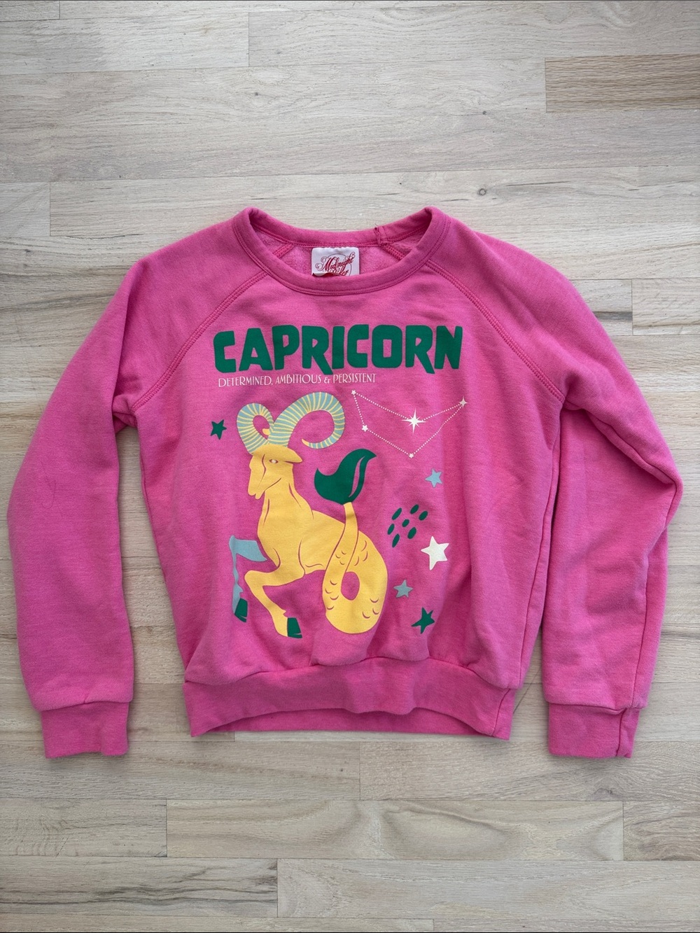 EUC Midnight Rider x Anthropologie Carolita Capricorn Zodiac Sweatshirt,Pink,XS